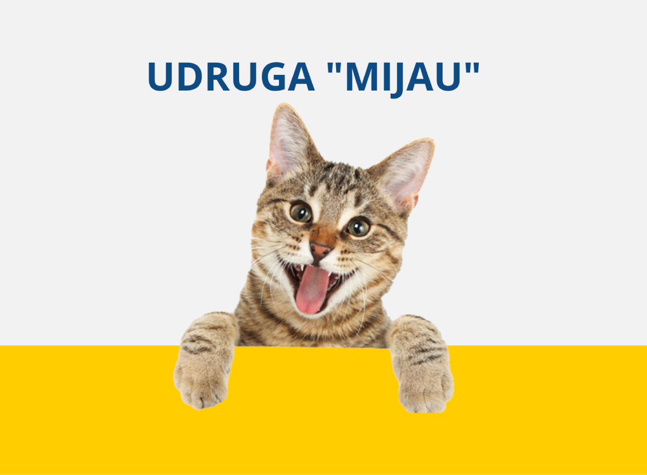 Akcija sterilizacije mačaka Rijeka 2026.